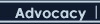 Strategic ICT Advocacy